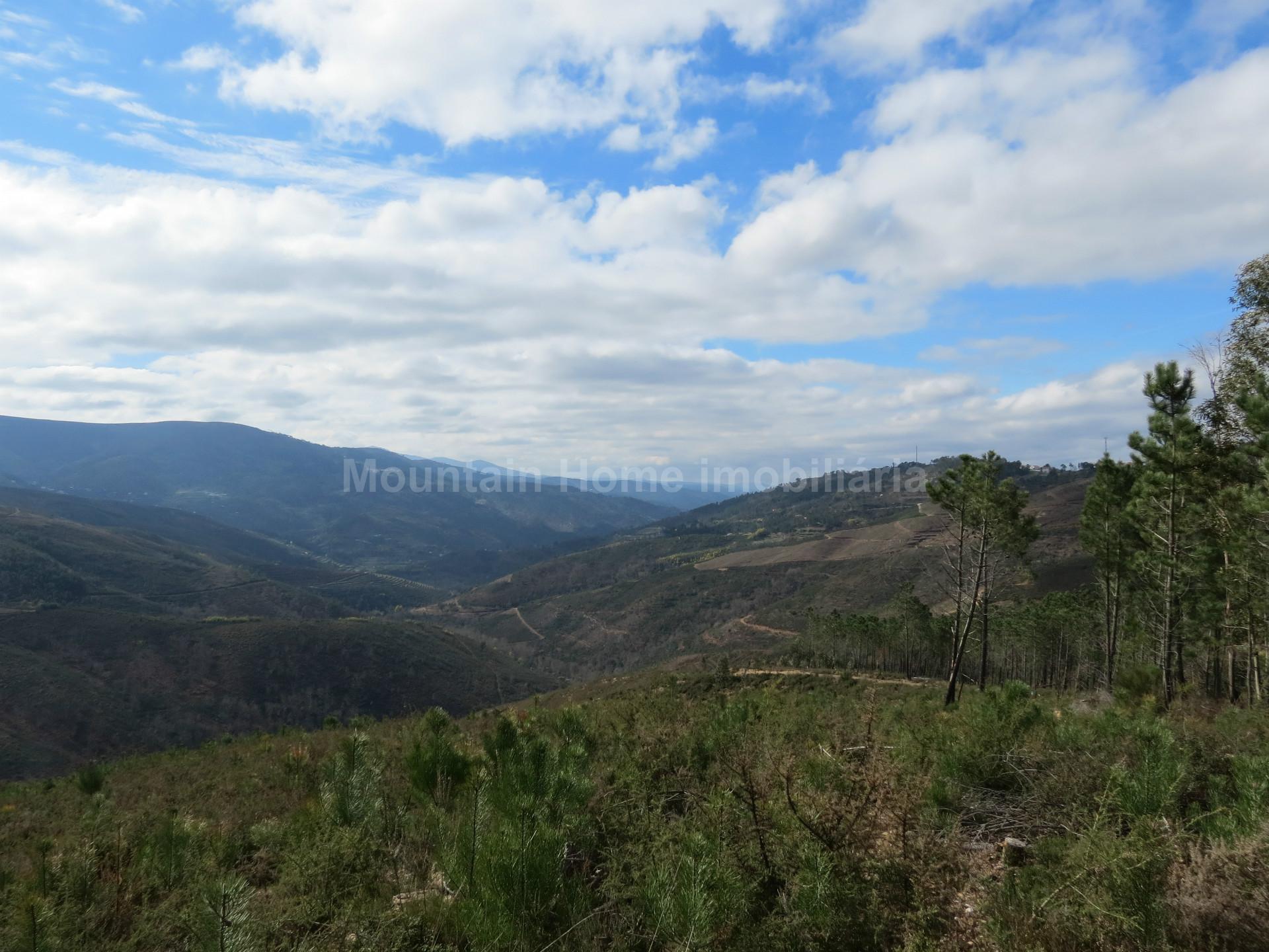 Terreno  Venda em Torrozelo e Folhadosa,Seia