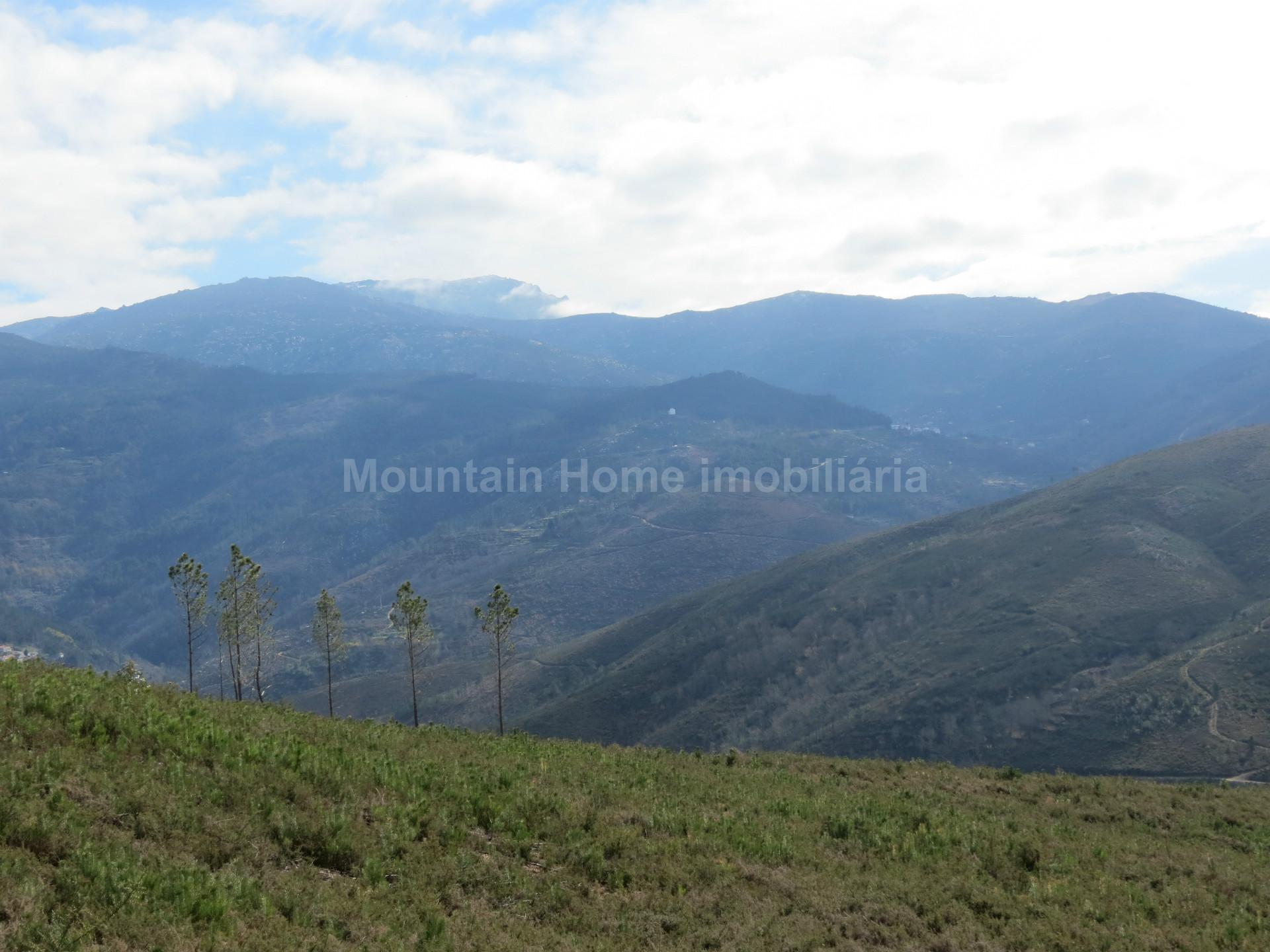 Terreno  Venda em Torrozelo e Folhadosa,Seia