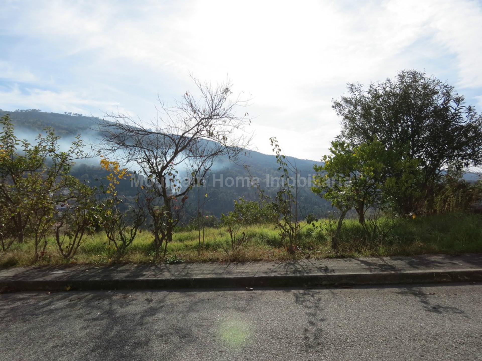 Lote de Terreno  Venda em São Gião,Oliveira do Hospital