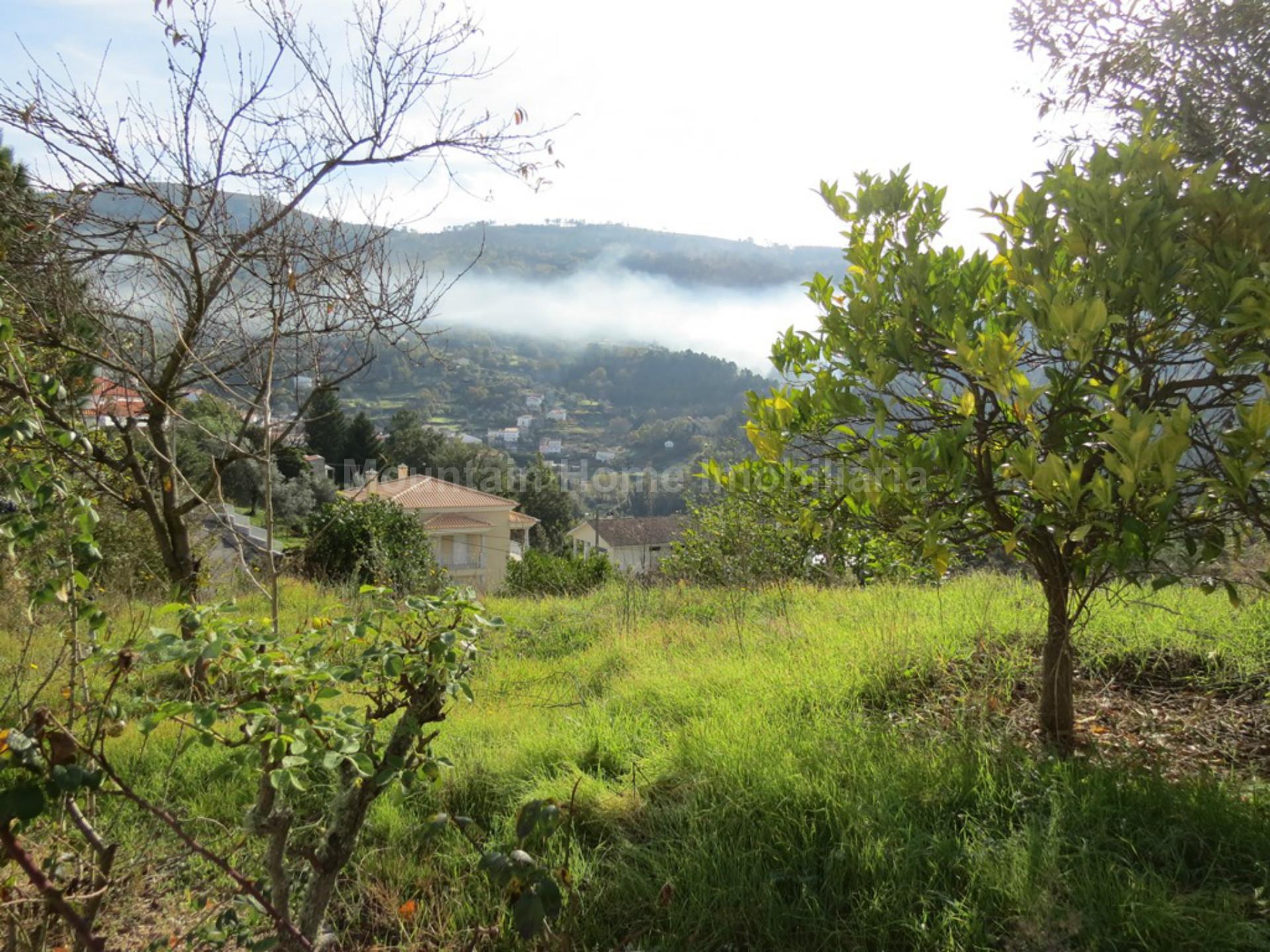 Lote de Terreno  Venda em São Gião,Oliveira do Hospital