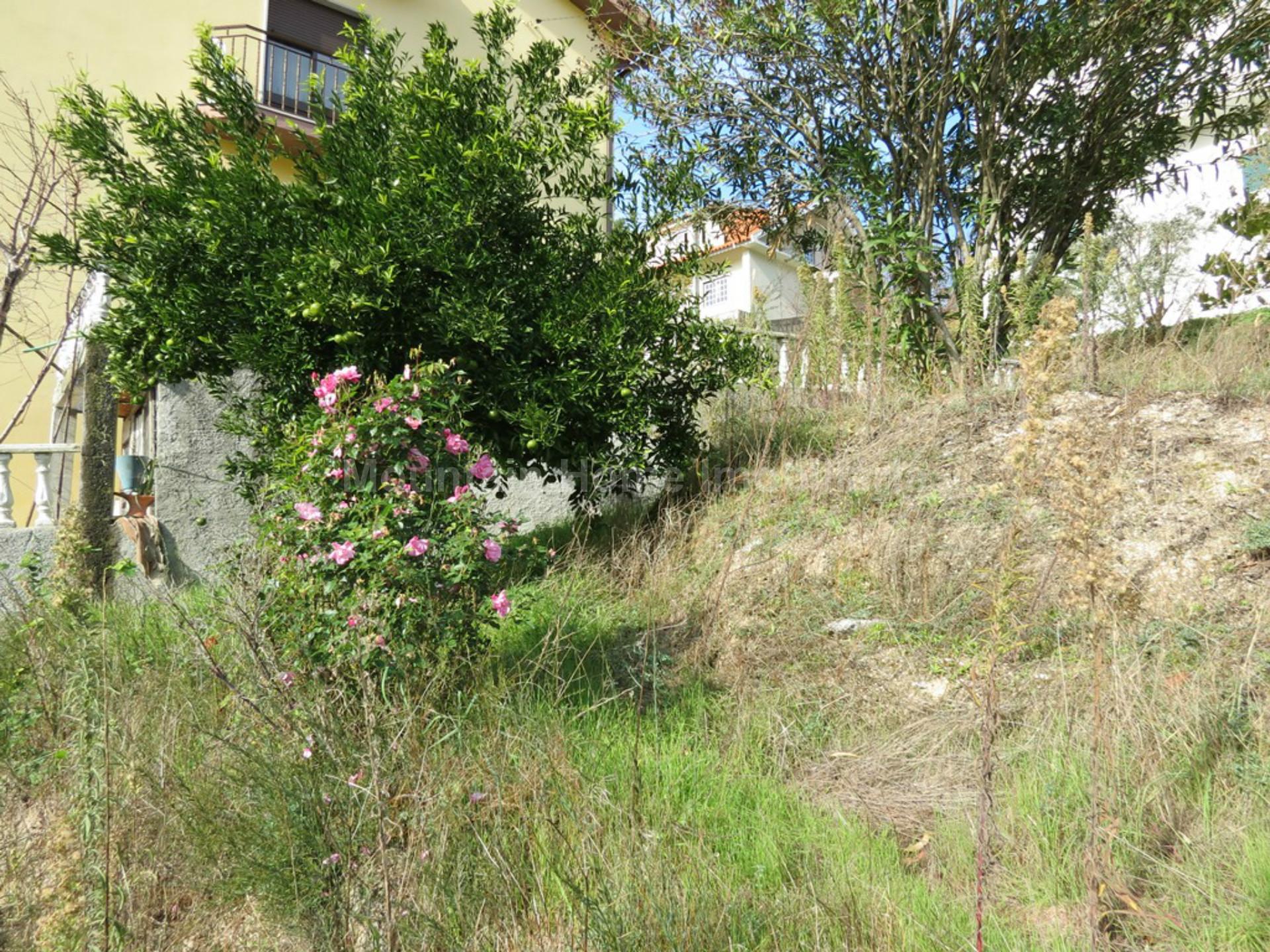 Lote de Terreno  Venda em São Gião,Oliveira do Hospital