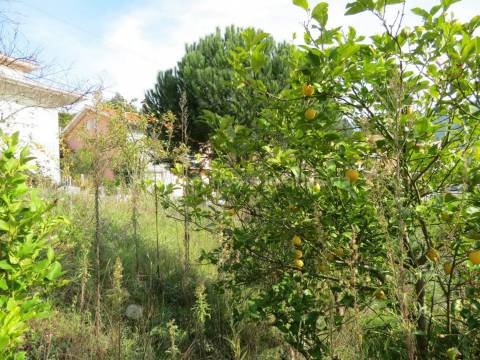 Lote de Terreno  Venda em São Gião,Oliveira do Hospital