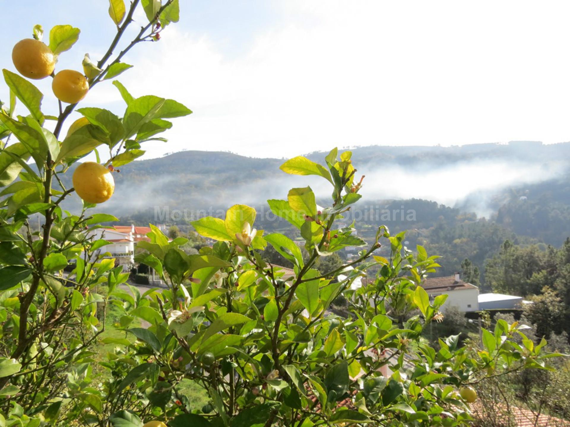 Lote de Terreno  Venda em São Gião,Oliveira do Hospital