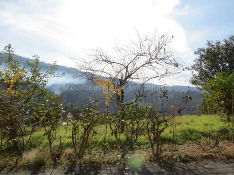 Lote de Terreno  Venda em São Gião,Oliveira do Hospital