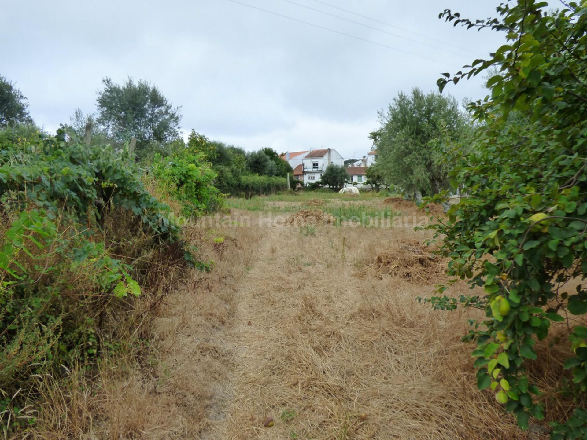 Terreno Para Construção  Venda em Rio Torto e Lagarinhos,Gouveia