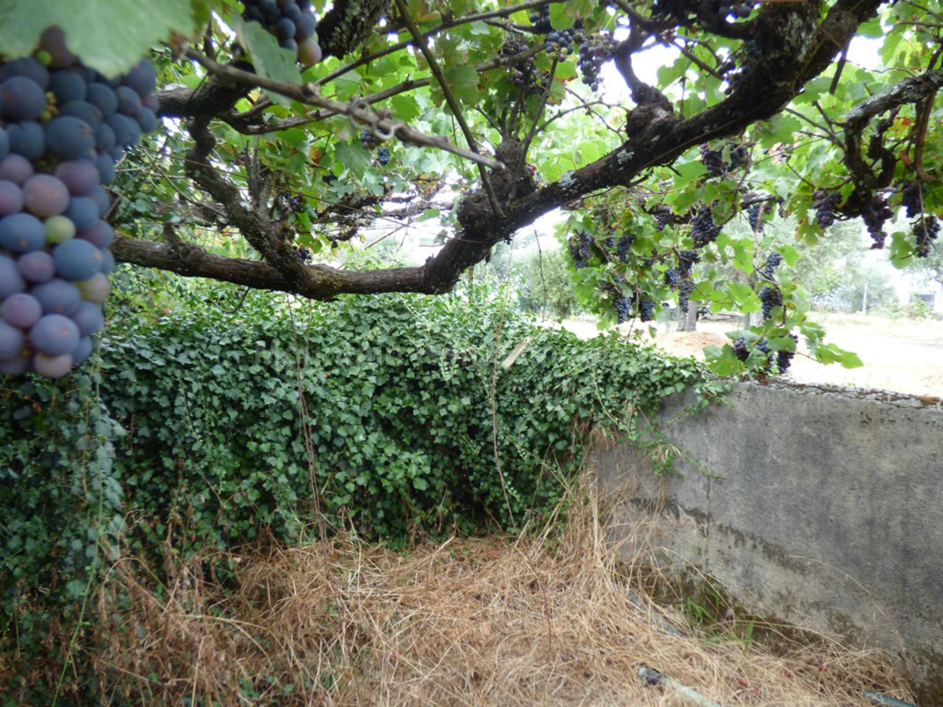 Terreno Para Construção  Venda em Rio Torto e Lagarinhos,Gouveia