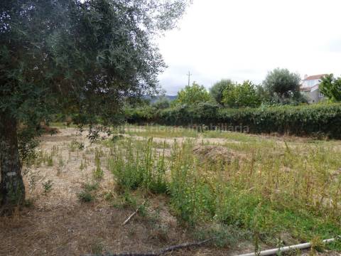 Terreno Para Construção  Venda em Rio Torto e Lagarinhos,Gouveia