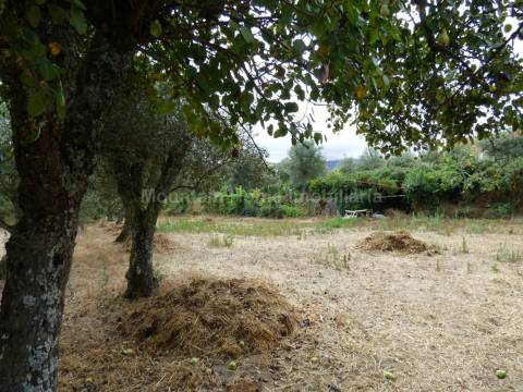 Terreno Para Construção  Venda em Rio Torto e Lagarinhos,Gouveia