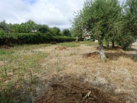 Terreno Para Construção  Venda em Rio Torto e Lagarinhos,Gouveia