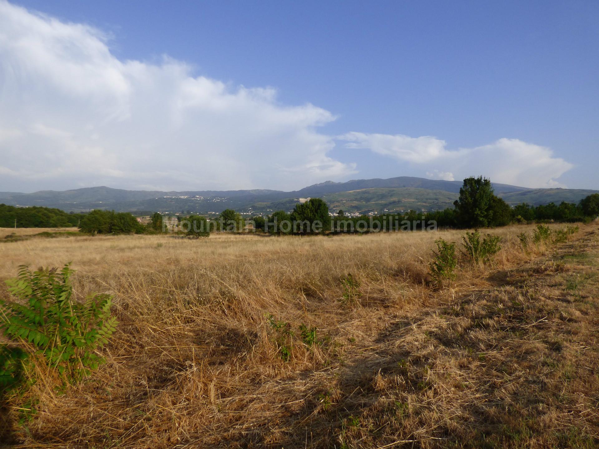 Terreno Para Construção  Venda em Melo e Nabais,Gouveia