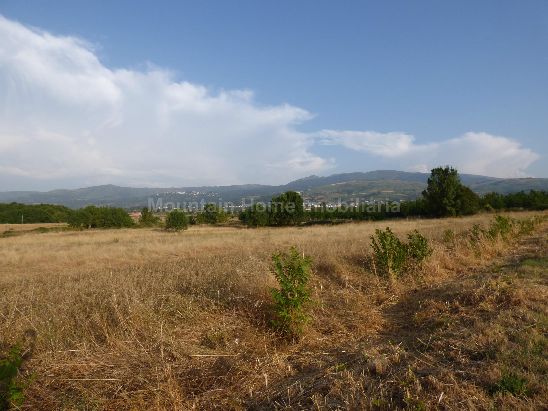 Terreno Para Construção  Venda em Melo e Nabais,Gouveia