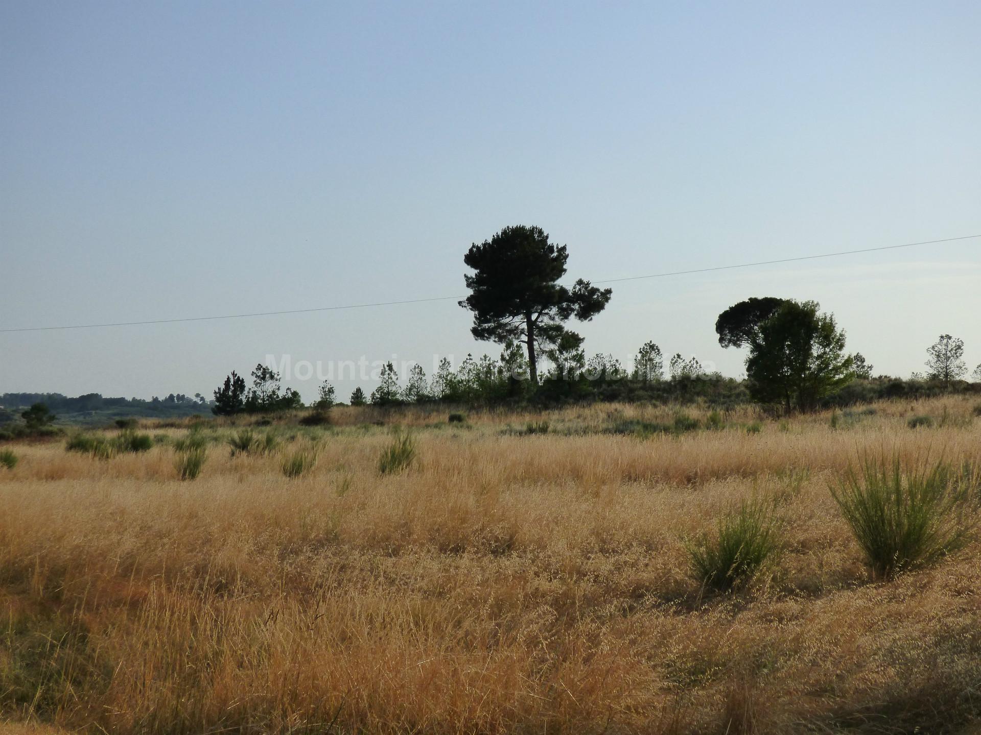 Terreno Para Construção  Venda em Melo e Nabais,Gouveia