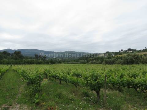 Quinta  Venda em Melo e Nabais,Gouveia