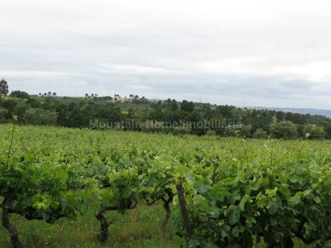 Quinta  Venda em Melo e Nabais,Gouveia