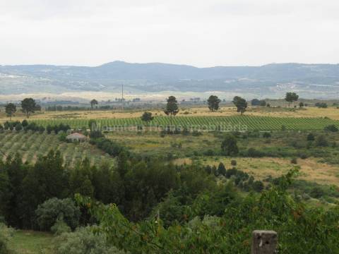 Quinta  Venda em Melo e Nabais,Gouveia