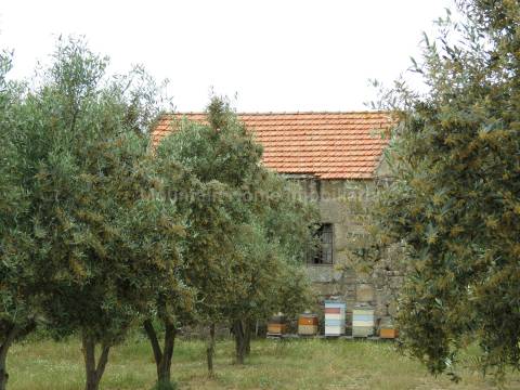 Quinta  Venda em Melo e Nabais,Gouveia