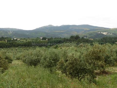 Quinta  Venda em Melo e Nabais,Gouveia
