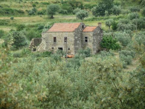 Quinta  Venda em Melo e Nabais,Gouveia