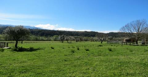 Quinta  Venda em Santiago,Seia