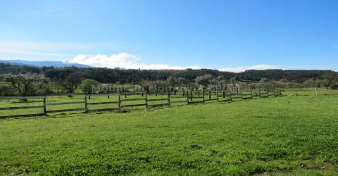 Quinta  Venda em Santiago,Seia