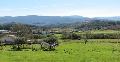 Quinta  Venda em Santiago,Seia