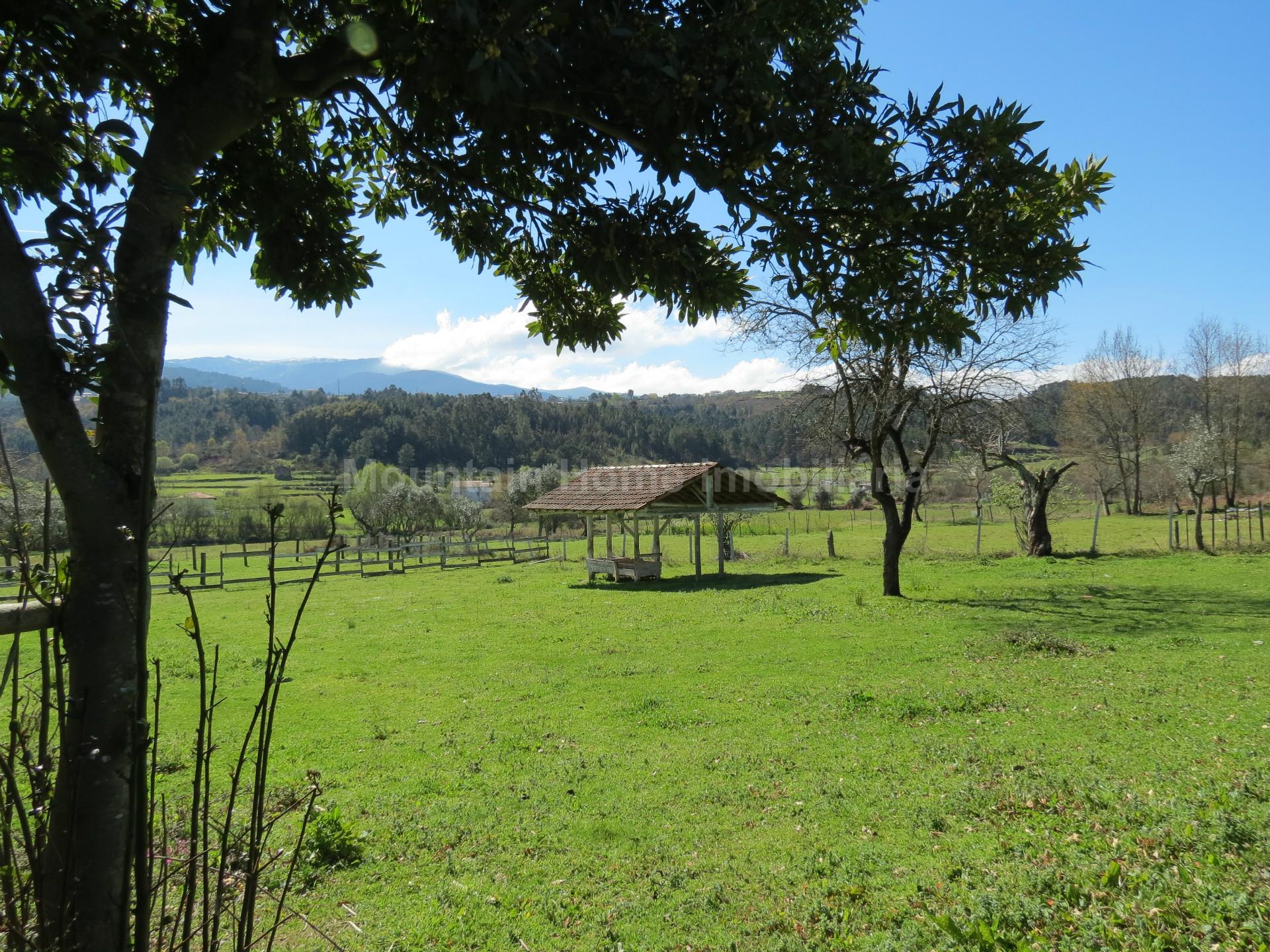 Quinta  Venda em Santiago,Seia