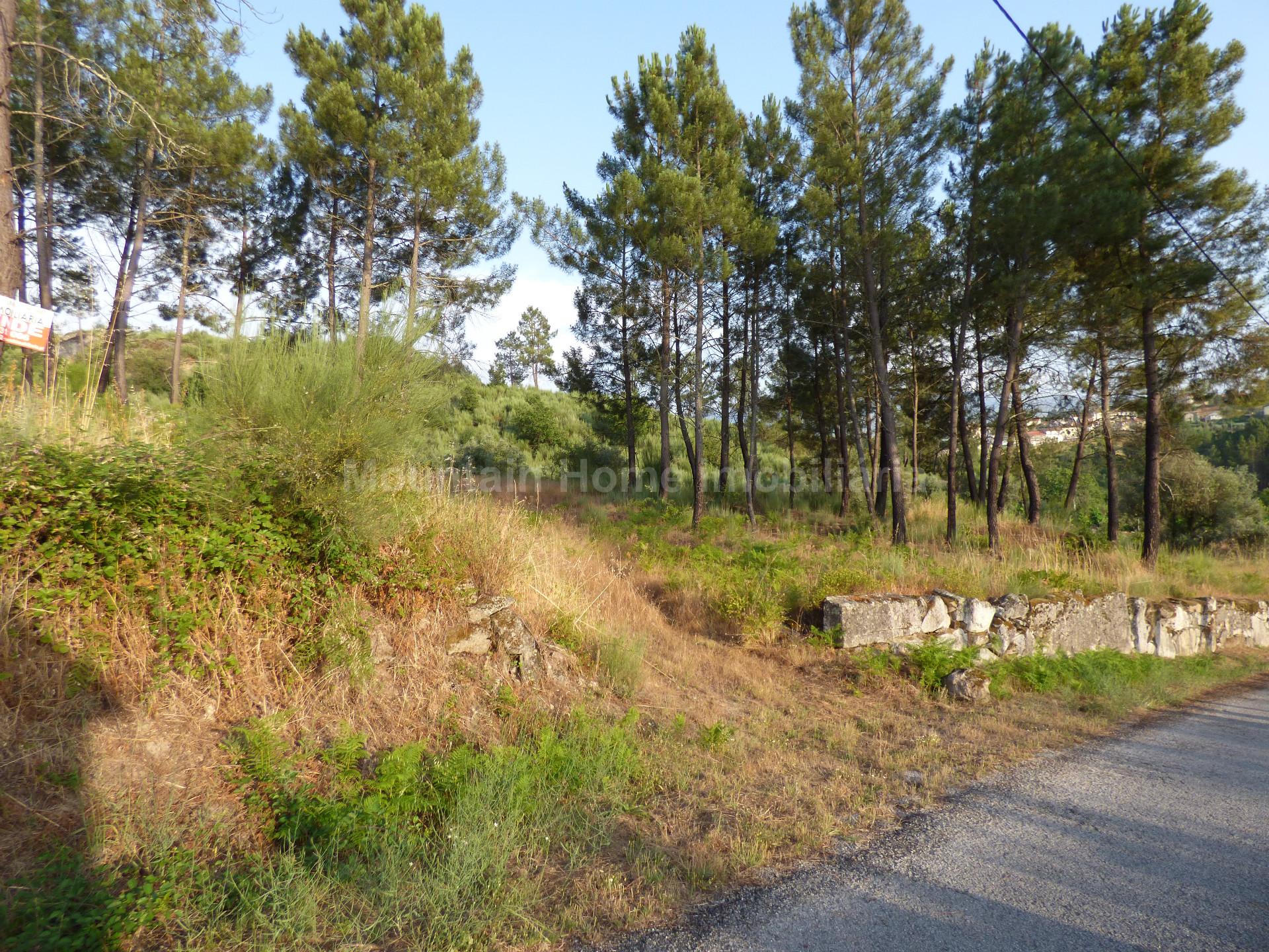 Quintinha  Venda em Ribamondego,Gouveia