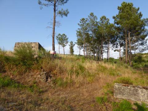 Quintinha  Venda em Ribamondego,Gouveia