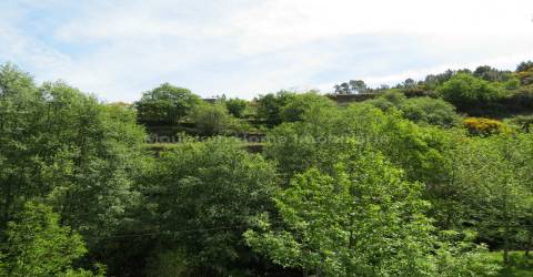 Quinta  Venda em Seia, São Romão e Lapa dos Dinheiros,Seia