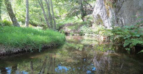 Quinta  Venda em Seia, São Romão e Lapa dos Dinheiros,Seia