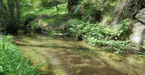 Quinta  Venda em Seia, São Romão e Lapa dos Dinheiros,Seia