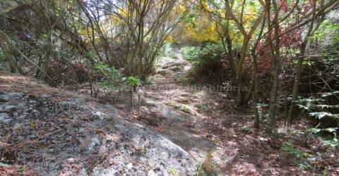 Quinta  Venda em Seia, São Romão e Lapa dos Dinheiros,Seia