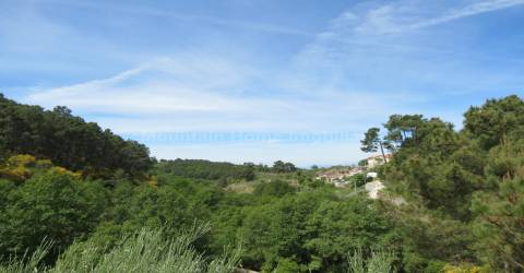Quinta  Venda em Seia, São Romão e Lapa dos Dinheiros,Seia