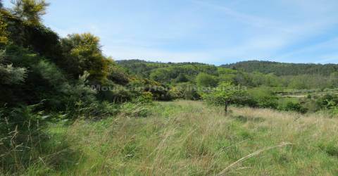 Quinta  Venda em Seia, São Romão e Lapa dos Dinheiros,Seia