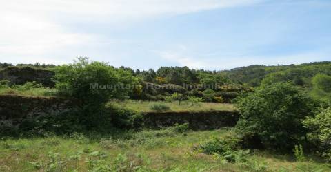 Quinta  Venda em Seia, São Romão e Lapa dos Dinheiros,Seia