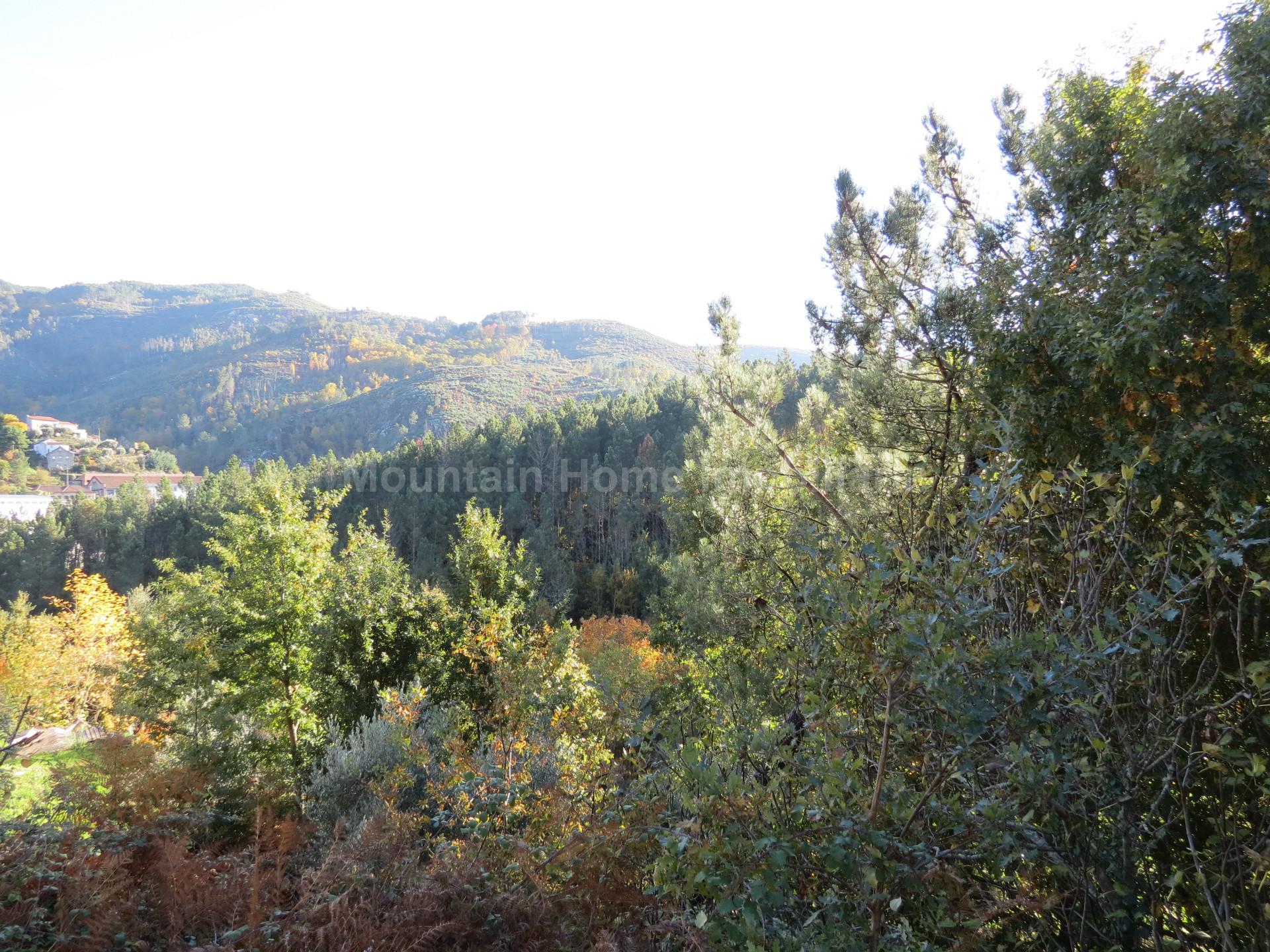 Terreno  Venda em Vila Cova à Coelheira,Seia