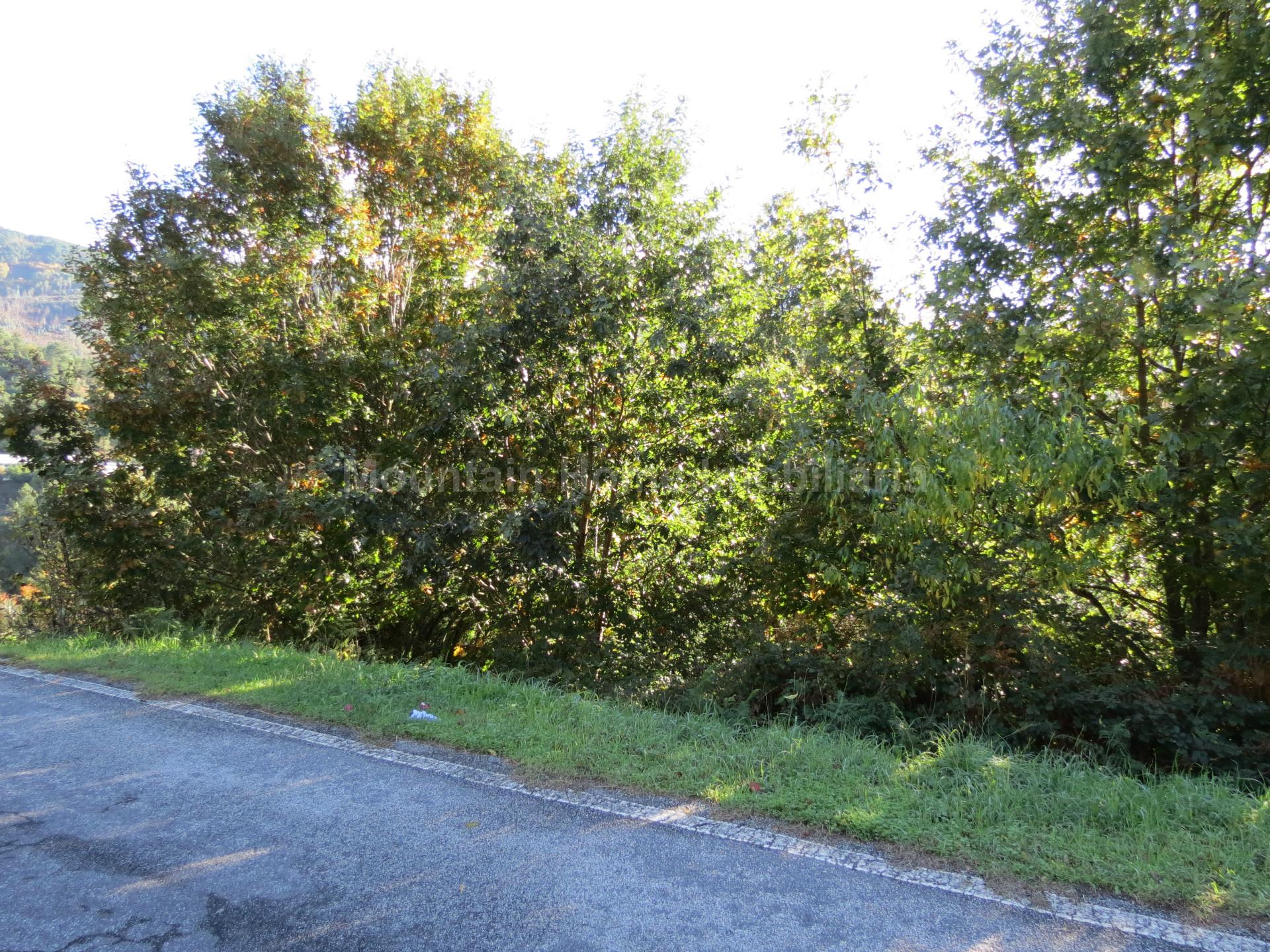 Terreno  Venda em Vila Cova à Coelheira,Seia