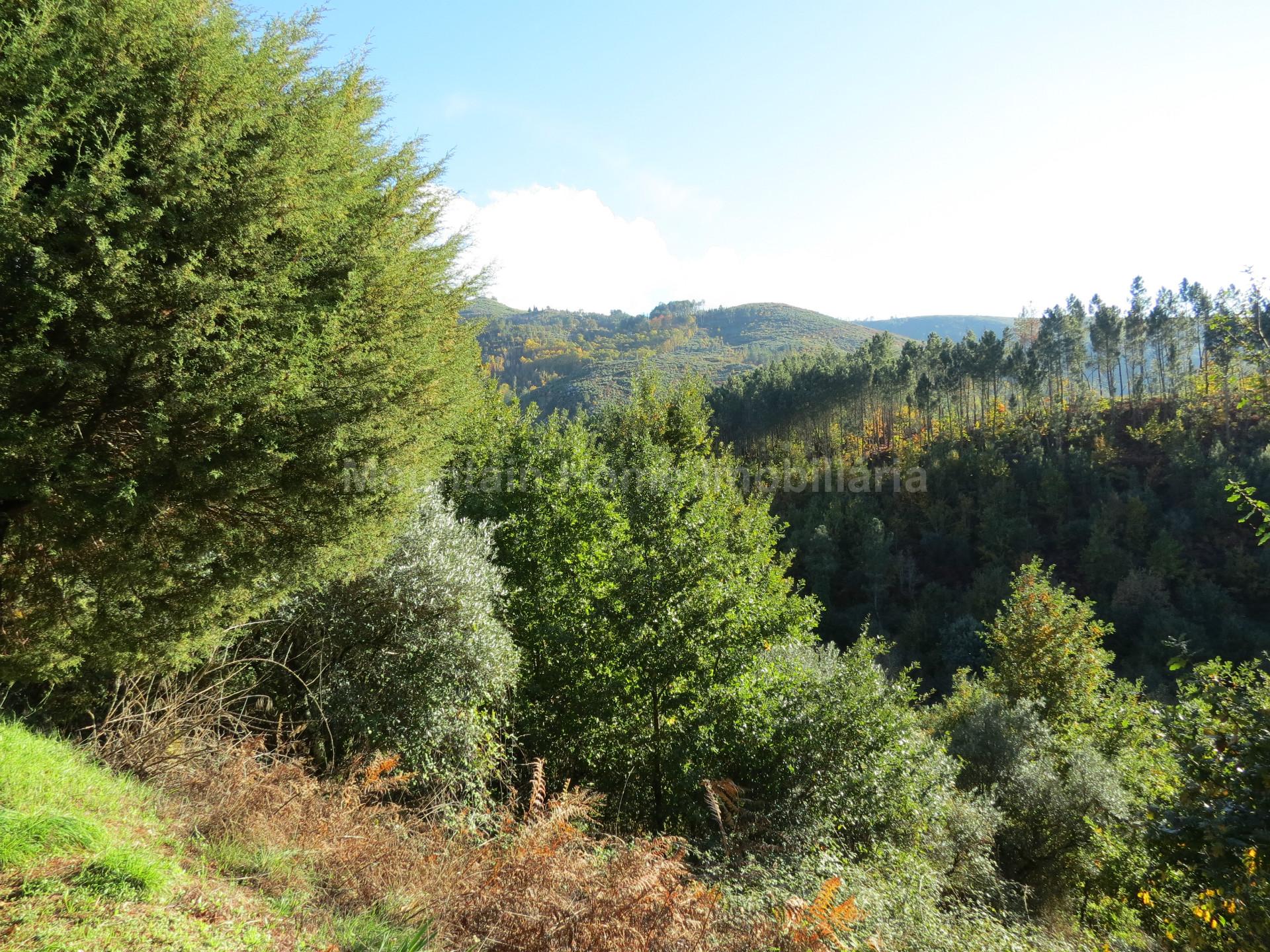 Terreno  Venda em Vila Cova à Coelheira,Seia