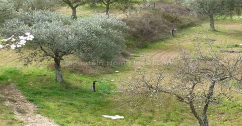 Quintinha  Venda em Sobral da Serra,Guarda