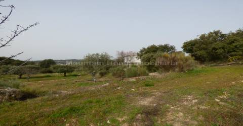 Quintinha  Venda em Sobral da Serra,Guarda