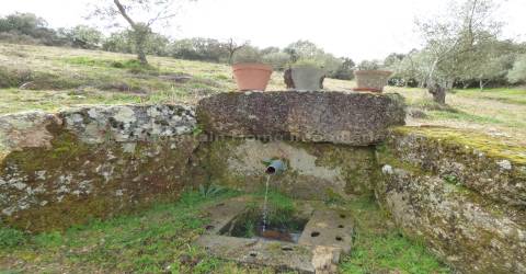Quintinha  Venda em Sobral da Serra,Guarda
