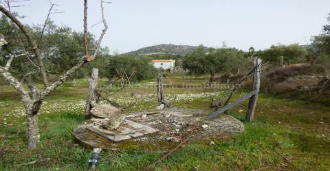 Quintinha  Venda em Sobral da Serra,Guarda
