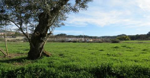 Terreno  Venda em Seia, São Romão e Lapa dos Dinheiros,Seia