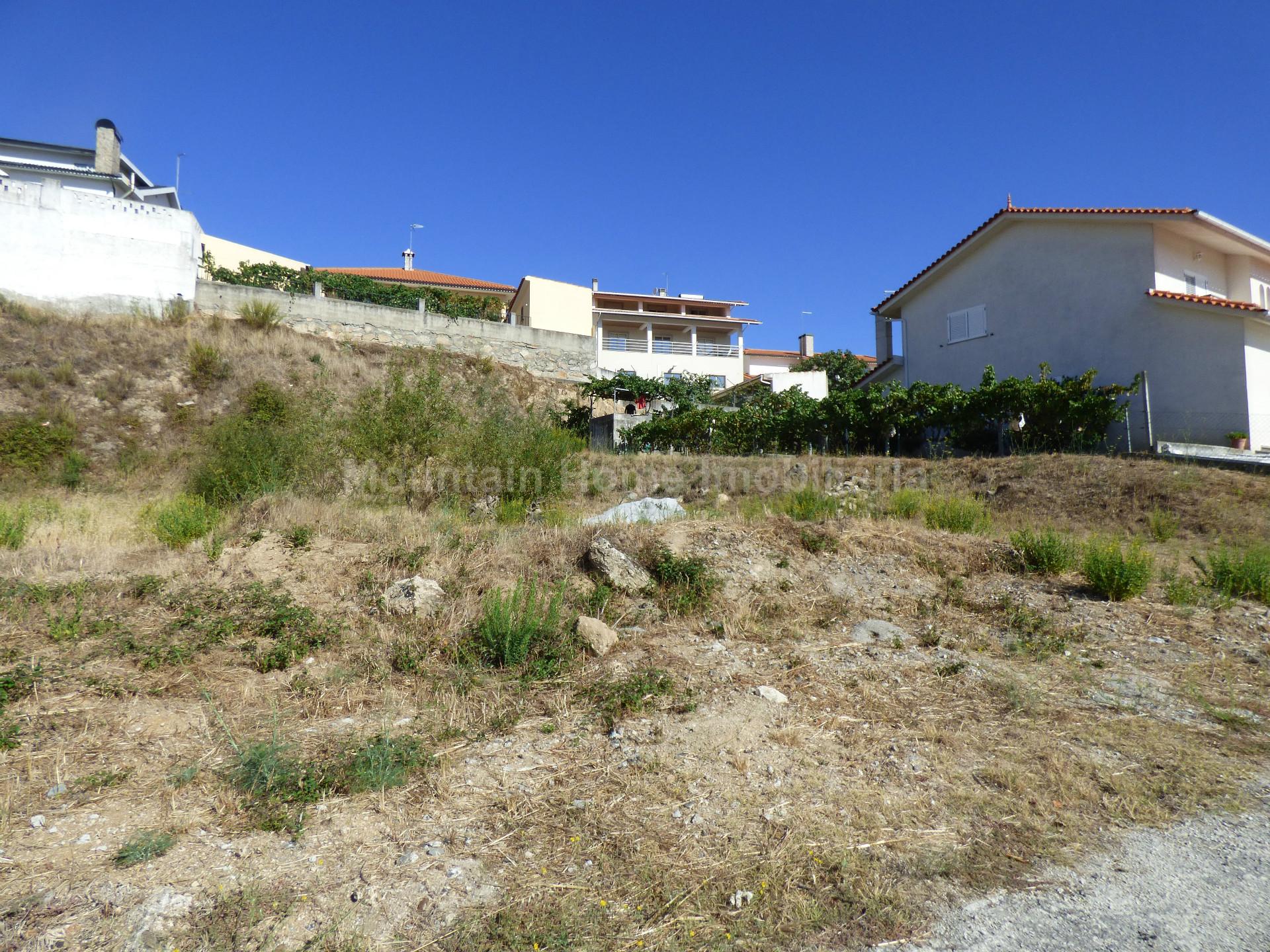 Lote de Terreno  Venda em Celorico (São Pedro e Santa Maria) e Vila Boa do Mondego,Celorico da Beira