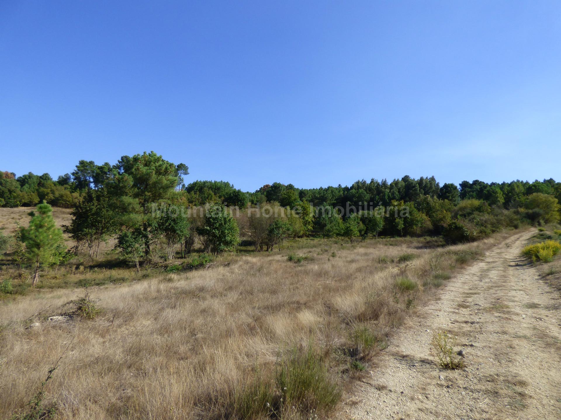 Terreno Para Construção  Venda em Seia, São Romão e Lapa dos Dinheiros,Seia