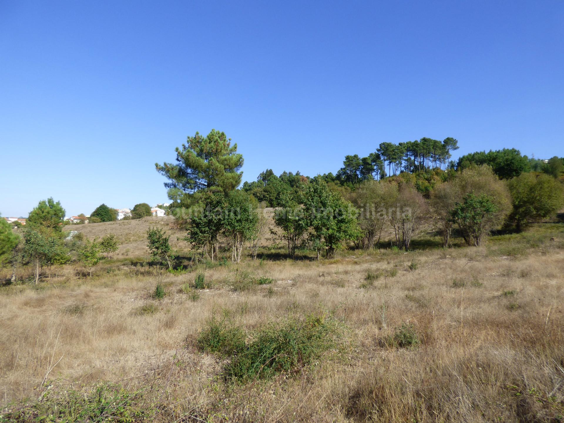 Terreno Para Construção  Venda em Seia, São Romão e Lapa dos Dinheiros,Seia