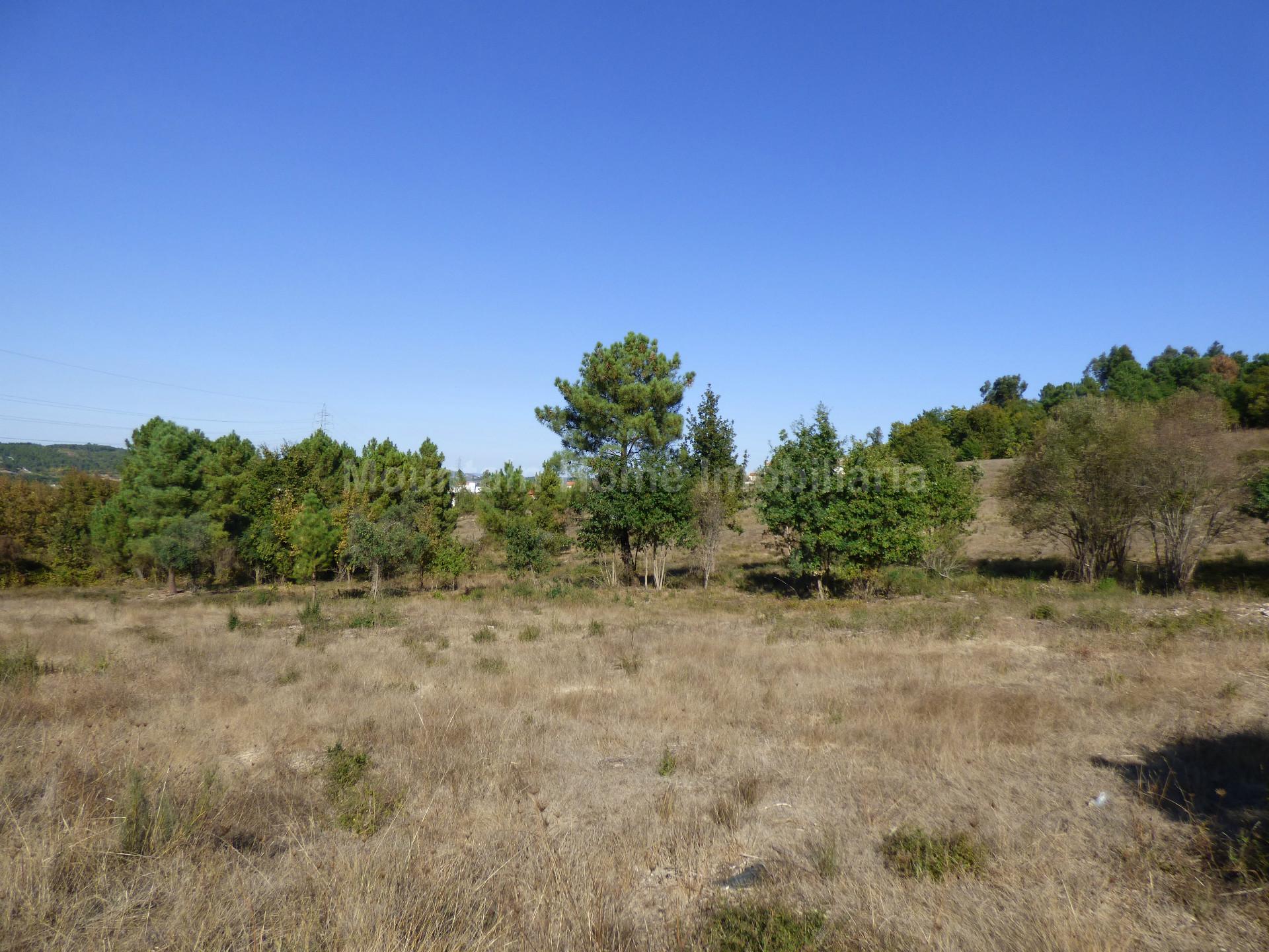 Terreno Para Construção  Venda em Seia, São Romão e Lapa dos Dinheiros,Seia