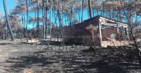 Quintinha  Venda em Sameice e Santa Eulália,Seia