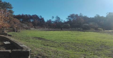 Quintinha  Venda em Sameice e Santa Eulália,Seia