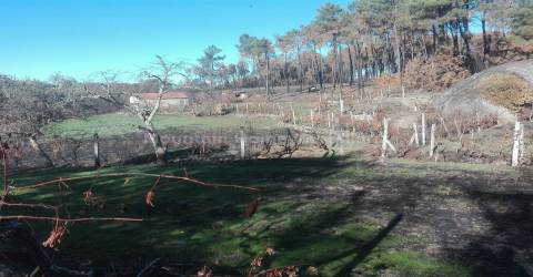 Quintinha  Venda em Sameice e Santa Eulália,Seia